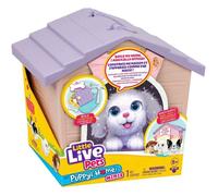 Set de Jeu Peluche et Niche. Révélation Surprise ! Construis la Niche de Ton Chiot et Donne-Lui Un nom : Un Chiot apparaît ! Quel Chiot Vas-tu découvrir ? Niche DIY Facile. À partir de 5 Ans.