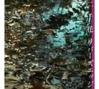 Nichika - Rivers Edge [Import]