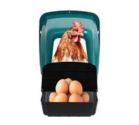 Nichoir à oiseaux avec caméra pour oiseaux - Résistant aux intempéries - À suspendre - Protection contre les pics - Avec 4 nichoirs pour plusieurs poules. Montage facile, convient pour la cour et la