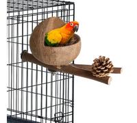 Nichoir À Oiseaux - Coquille De Noix Coco, Branche 9,84 Pouces, Nichoir, Coque Écologique Et | Cage Pigeons Pivotante Pour Pinsons, Hirondelles, Moineaux Avec Décor Cloche En Pomme Pin, Abri S