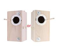Nichoir en bois pour oiseaux avec fenêtre transparente pour calopsitte, pinson, canaris, inséparable, décorations de Noël pour cour