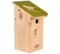 Nichoir pour mésange bleue en pin pochoir Vert G