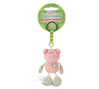 NICI 49382 Talisminis Pig Key Ring 7 cm Pink/Green Cuddly Toy Pendant with Key Ring for Lanyard, Keychain & Key Holder Lucky Charm Bag Pendant with Message