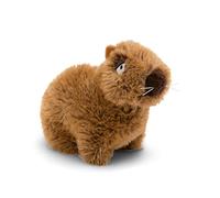 NICI Capybara Doudou Capy-Barbara 17 cm Assis - Adorable Peluche pour câliner et Jouer, Capybara en Peluche pour Les Amateurs de doudous - 61222