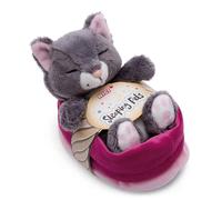 Nici Chat Dormant Dans Un Panier Avec Un Ours En Peluche 12 Cm