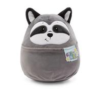 Nici Coussin Raton Laveur 20 Cm