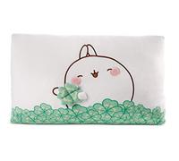 NICI Coussin rectangulaire MOLANG avec Feuille de trèfle 43x25cm