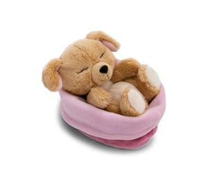 NICI Doudou Chien, 12 cm, Beige - 63133 | Endormi dans son panier, peluche en tissu tout doux, adorable compagnon à câliner et à emporter partout, excellente cadeau
