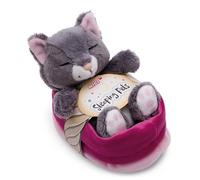 NICI Peluche Chat Gris 12cm, Dormant dans Son Panier - Peluche pour câliner et Aimer, Produit durablement à partir de matériaux recyclés - 49746