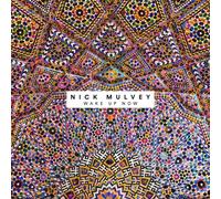 NICK MULVEY - WAKE UP NOW CD NEUF