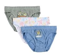 Nickelodeon Universe Pat Patrouille, Lots de 3 Slips, Garçon (FR/ES, Âge, 4 Ans, 5 Ans, Taille Normale, Bleu)
