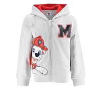 Nickelodeon Universe Pat Patrouille, Sweat Shirt Gargon (FR/ES, Âge, 6 Ans, Taille Normale, Gris Clair)