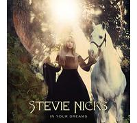 Stevie Nicks - In Your Dreams