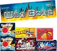 Nico Europe GmbH Wild Boys Lot de 6 boîtes de Rangement Multicolore