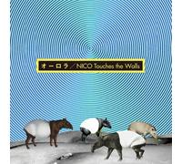 Nico Touches the Walls - Aurora [CD+DVD Ed. ] [Import]