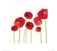 Nicola Evans (Poppies 40 x 40 cm Toile Imprimée