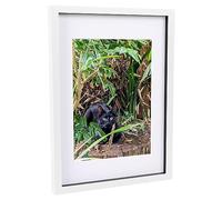 Nicola Spring 1x Blanc A3 (12" x 17") Acrylique Cadre de Boîte d'Ombre - Blanc A4 Support