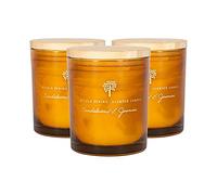 Nicola Spring Bougies parfumées de Cire de soja - Cadeau d'aromathérapie en Verre pour Elle - 21 Heures Heure de la Combustion - 130g - Sanalwood & Jasmine - Pack de 3