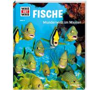 Nicolai Schiraw WAS IST WAS Band 41 Fische. Wunderwelt im Wasser (WAS IS (Relié)