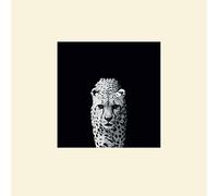 Nicolas Evariste (Acinonyx Jubatus 30 x 30 cm montée d'impression