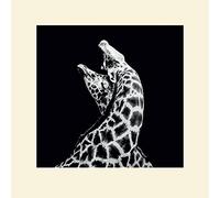 Nicolas Evariste (in Love 40 x 40 cm Montée d'impression