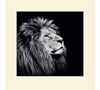 Nicolas Evariste (Majesty 40 x 40 cm montée d'impression