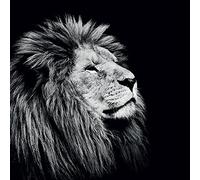 Nicolas Evariste (Majesty 40 x 40 cm Toile Imprimée