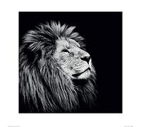 Nicolas Evariste (Majesty 60 x 60 cm Toile Imprimée