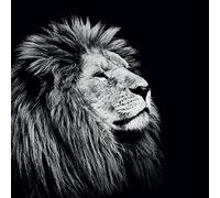 Nicolas Evariste (Majesty 85 x 85 cm Toile Imprimée