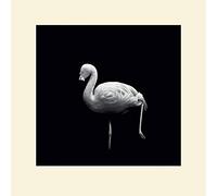 Nicolas Evariste (Wanna Play Croquet 40 x 40 cm montée d'impression