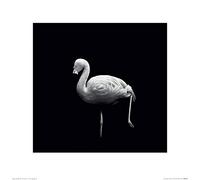 Nicolas Evariste (Wanna Play Croquet 40 x 40 cm Toile Imprimée