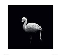 Nicolas Evariste (Wanna Play Croquet 60 x 60 cm Toile Imprimée