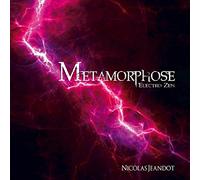 Nicolas Jeandot - Métamorphose electro zen