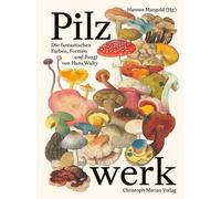 Nicolas Küffer Ishita C Pilzwerk: Die fantastischen Farben, Formen (Relié)