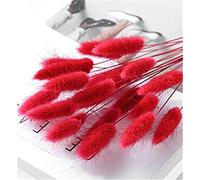 Nicole Knupfer Lot de 20 petites fleurs séchées naturelles de la pampa séchées pour décoration de jardin (rouge)