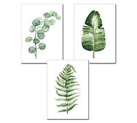 Nicole Knupfer Lot de 3 affiches vintage imprimées avec plantes vertes botaniques (A, 30 x 40 cm)