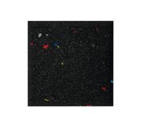 Nicoman Tapis de Tapis de Course de Fitness Robuste Haute densité antidérapant Absorbant Les Chocs 15 mm 10 x 10 cm Noir Galaxie