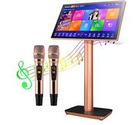 Nicvrea Machine de Karaoké avec 2 Microphones sans Fil à Réverbération, Écran Tactile Capacitif et Téléchargement Gratuit Via Le Cloud 19.5inch-3TB