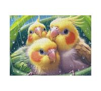 Nid d Oiseau Petits perroquets 500 Pièces Puzzle Collectionneur en Carton Rigide sans Déformation Animal Animal de Compagnie Très Difficile Motif Complexe Décoration Murale Qualité Premium 500 PCS