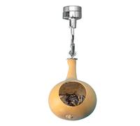 Nid de cachette d'araignée - Enclos d'araignée en citrouilles naturelles avec magnétisme | Maison parfaite pour les araignées sautantes, enclos pour citrouilles sautantes araignées, environnement pour