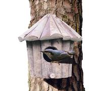 Nid de colibri | Nid décoratif en bois avec toit, colibri, décoration de jardin | pour Wren Moineau, rouge-gorge, perruche, merle bleu, fenêtre extérieure, arbre d'hiver, femme amoureuse