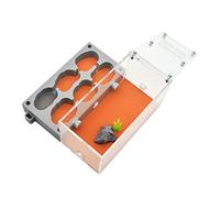Nid de Fourmis, Ant 3D Gypse avec Zone d'alimentation Et Piscine d'eau Gris 14x14x7cm