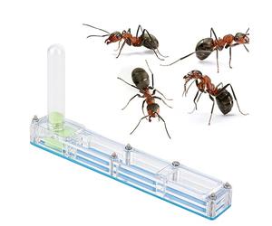 Nid de Fourmis en Acrylique pour élevage, boîte d’Exposition formicarium, Ferme à Fourmis avec Tour d’Eau intégrée pour l’humidification, Habitat Compact et Transparent pour (repaire Bleu)