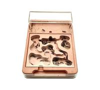 Nid de Fourmis, Fourmilière Formicarium 10 mm avec Port d'expansion en Verre Acrylique et plâtre 23,5 x 17 x 3,7 cm