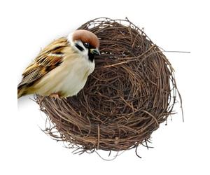 Nid de Petit Oiseau - Boîtier en Fibre Naturelle, Panier d'élevage tissé, ameublement de Cage pour Animaux de Compagnie, Plat Stable, Habitat Confortable pour Animaux | Solution de Nidification s