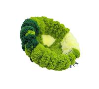 Nid d'élevage à suspendre pour perroquet - Petite maison chaude pour l'hiver