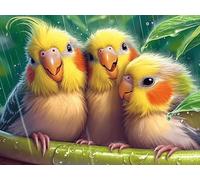 Nid d'oiseau Petits perroquets 500 Pièces Puzzle Expert Confirmé en Carton Rigide Haute Densité Faune Sauvage Très Difficile Motif Complexe Décoration Murale Cadeau Premium 500 PCS/52×38cm
