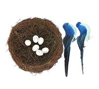 Nid d'oiseaux Artificiels de Pâques avec Œufs Et Oiseaux en Mousse, Simulation Oeuf Doiseau Mini Simulation Nids D'oeufs Décoration de Pâques pour Jardin Ornement Bricolage Artisanat