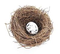 Nid d'oiseaux artificiels, nichoir à oiseaux, jardin, nature, artisanat, faux nid d'oiseau vintage, cage à oiseaux créative pour Pâques, décoration printanière, vitrine (6 cm)