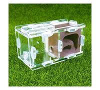 Nid Fourmis Boîte Fourmilière Petite Ferme Fourmi Acrylique Insectes Villa Élevage Maison Fourmis Nid Atelier pour Animaux Compagnie Château Cage D'élevage pour Fourmis D'étude (Color : Purple)